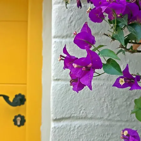 Kostoulis Traditional House * 雷夫克斯