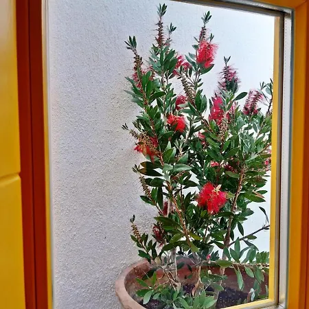 Kostoulis Traditional House