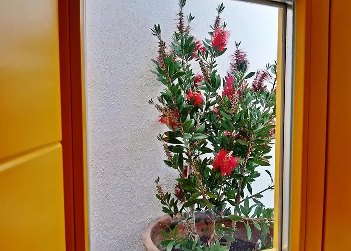 Kostoulis Traditional House